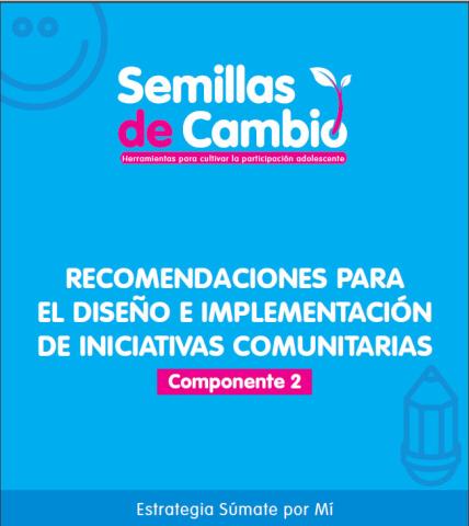 Componente 2. Recomendaciones para el diseño e implementación de iniciativas comunitarias 