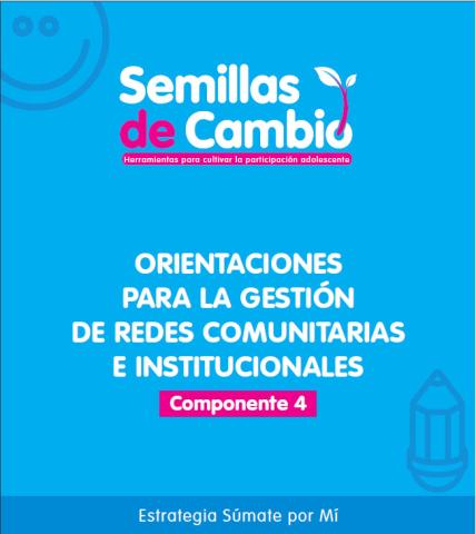 Componente 4. Orientaciones para la gestión de redes comunitarias e institucionales 