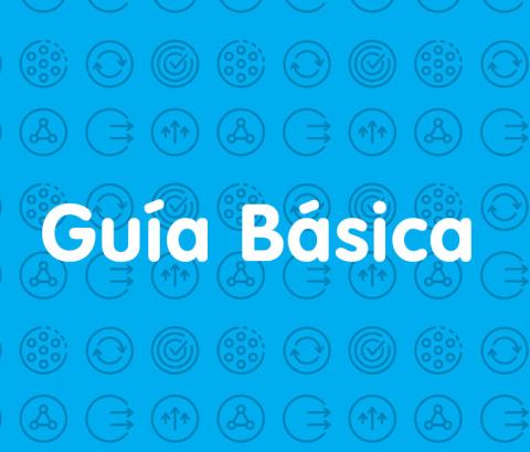 guia basica