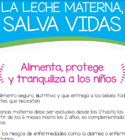 Afiche Lactancia materna